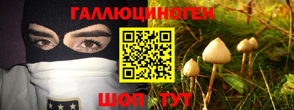 Альметьевск  Галлюциногенные грибы ЛСД  Вход с VPN 