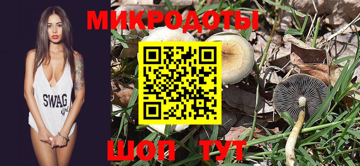 Псилоцибиновые грибы GOLDEN TEACHER Альметьевск